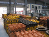 D8r Roller Assy-onderwagen voor bulldozeronderdelen Voor Achter Idler Gp-Track Cast Forge Graafmachine